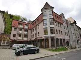 Apartment in Jachymov near Ski Lift