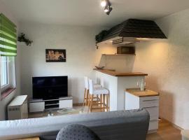Haus Ehrenfels, apartment in Bingen am Rhein