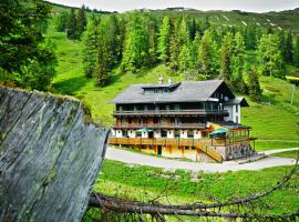 Hotel Alpen Arnika, hotell i Tauplitzalm