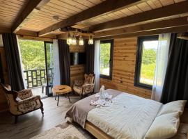 Pallas Otel, aparthotel em Ardeşen