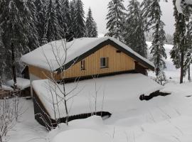 Ferienhaus Waldklause, hotel in Schwarzenberg im Bregenzerwald