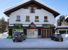 Apartment in Zauchensee near Ski Bus