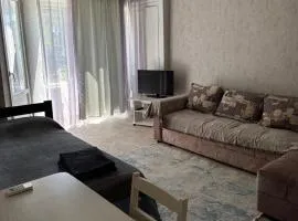 Однокомнатная Квартира в центре