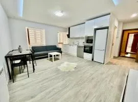 Appartement centre ville
