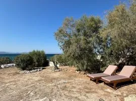 Orris Seaside