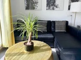 Modern Apartment Disneyland Paris