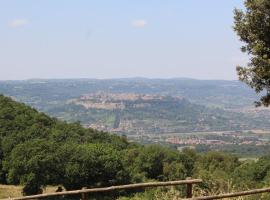 Agriturismo Fattoria Poggio Boalaio, hotel em Orvieto