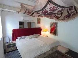 Mediterranean Mini Oasis 23