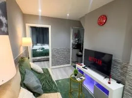 Cozy Flat in Coventry