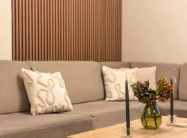 Hestior Top Floor Apartment, Downtown & Mountain View