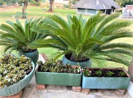 Neat standard room in guesthouse - 2088, pet-friendly hotel in Bulawayo