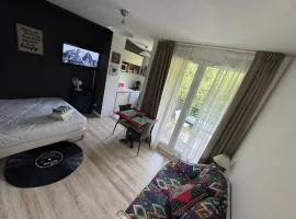 Studio T1 piscine chauffée parking gratuit les hauts dhonfleur