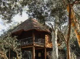 Ubizane Zululand Tree Lodge