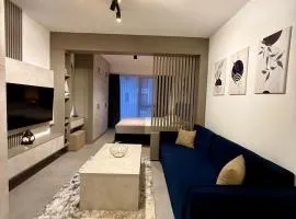 Luxury Studio No3 with Pool and free Parking Budvablue