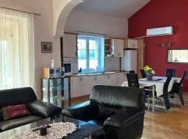 Spa Apartment Tamiš River Square