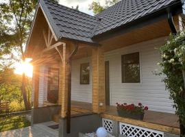 Roua Chalet, caba&ntilde;a o casa de campo en Nemţişor