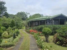 Mil Flores San Rafael Turrialba