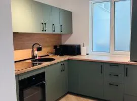 Premium Apartment Turda