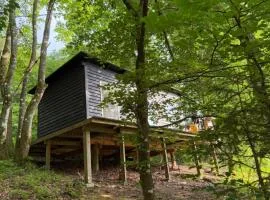 Idylisk primitiv hytte midt i skoven