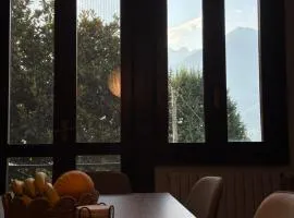 Il cuore della Valtellina - giardino privato