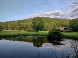 Fern Hollow Home