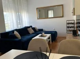 Apartman Radmanović