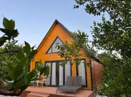 Pakiş Bungalov