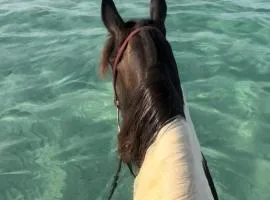 A casa di nonna Ivana in Salento - Bilocale con cucina a 50 mt dal mare - in pieno centro - ideale anche per l'inverno