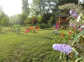 Like Home