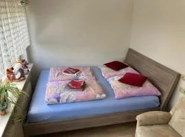 Ferienwohnung in Solms