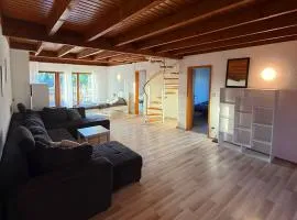 Spacious City Apartment with Terrace in Heusenstamm