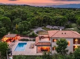 Villa LuLu kamena villa s maslinikom otok Krk Dobrinj selo Gostinjac