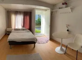 Wooden house studio 1 km from river Turku