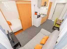 Akihabara Skytree Premium Apartment 501