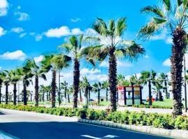 بورتو سعيد شاليهات لإيجار من المالك