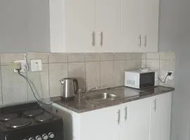 Entire rental unit