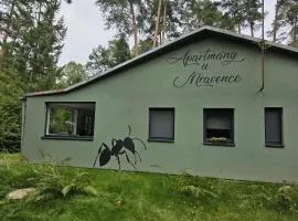 Apartmány u Mravence