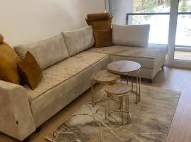 Studio Apartman ALIMRAN