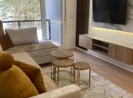 Studio Apartman ALIMRAN