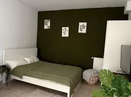 Tropical Room Modern Cozy