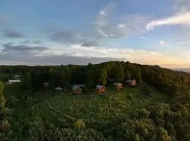 Hoot Owl with a private hot tub