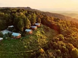 Hummingbird Cabin with a private hot tub