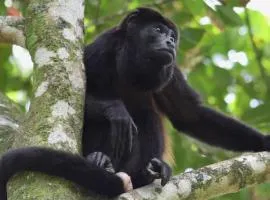 Beautiful Family Farm in Pacoche
