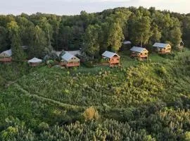 Wildflower Cabin with a private hot tub
