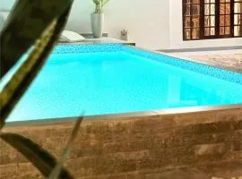 Navis villa