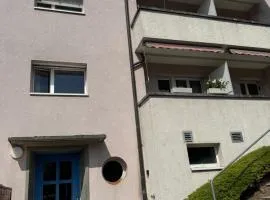 Modern Apartment Zurich - Near Lake & Opera House