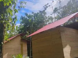 Manglar Eco Resort