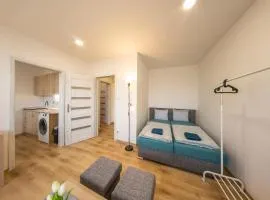 Útulný apartmán na ulici Přemyslovců