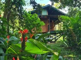 Live the Jungle - Rustic Refuge