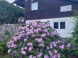 Apartment Strömstad, Lökholmen, apartment in Strömstad